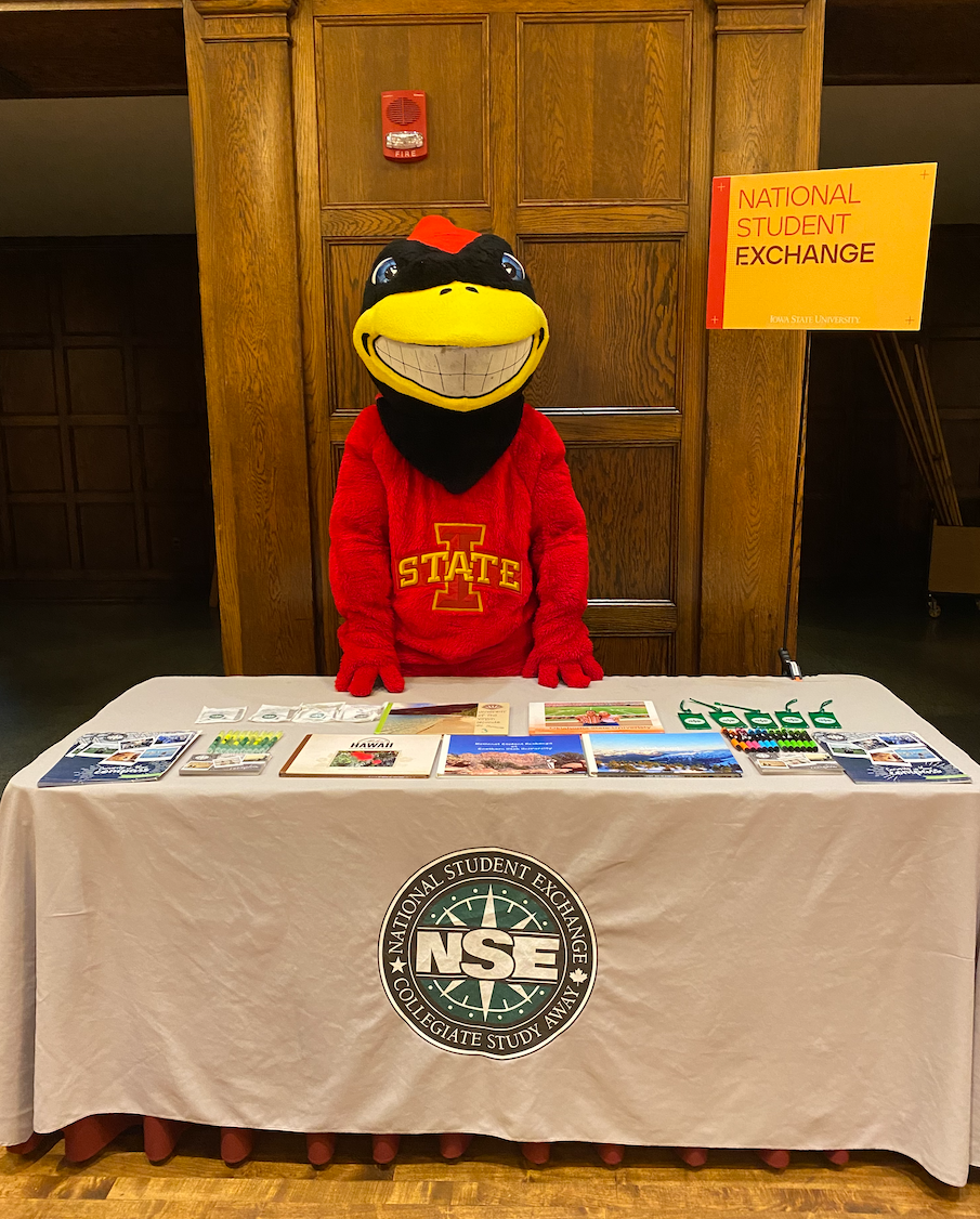 Image shows a table with NSE information and giveaway items, with "Cy" the mascot posing behind.